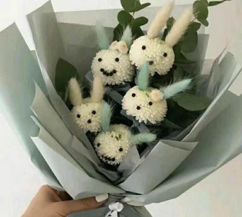 乒乓菊