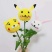 乒乓菊