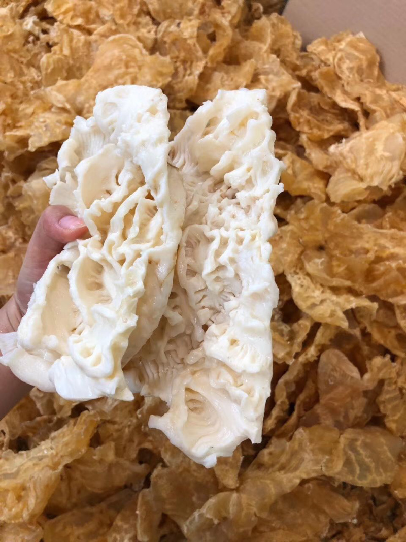 花胶石斑鱼胶赤鱼胶印尼鱼胶花胶干货酒店食材补充胶原蛋白