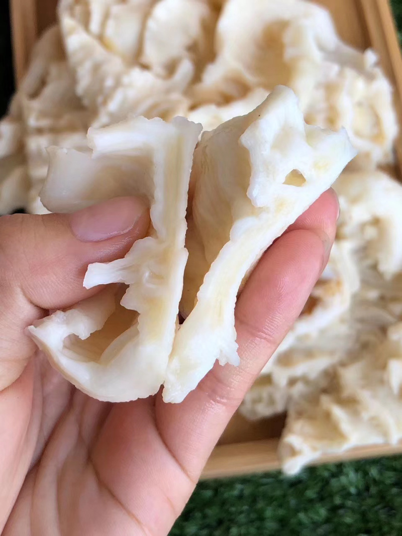 花胶石斑鱼胶赤鱼胶印尼鱼胶花胶干货酒店食材补充胶原蛋白