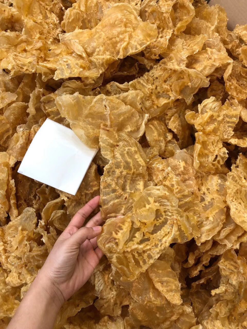 花胶石斑鱼胶赤鱼胶印尼鱼胶花胶干货酒店食材补充胶原蛋白