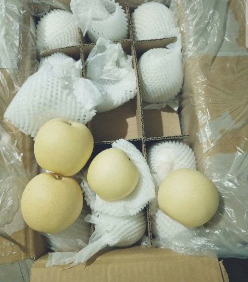 皇冠梨，300~500g，纸袋，冷库存放，商超对接l