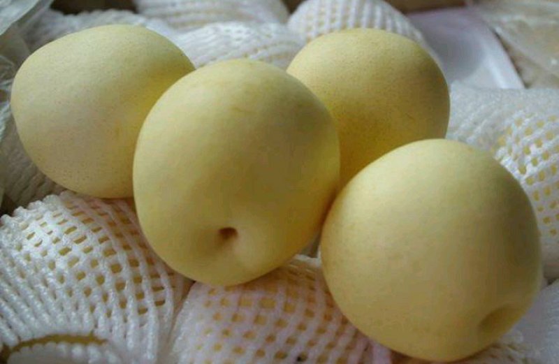 皇冠梨，300~500g，纸袋，冷库存放，商超对接l