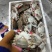 绑腿母梭子蟹单冻十斤装