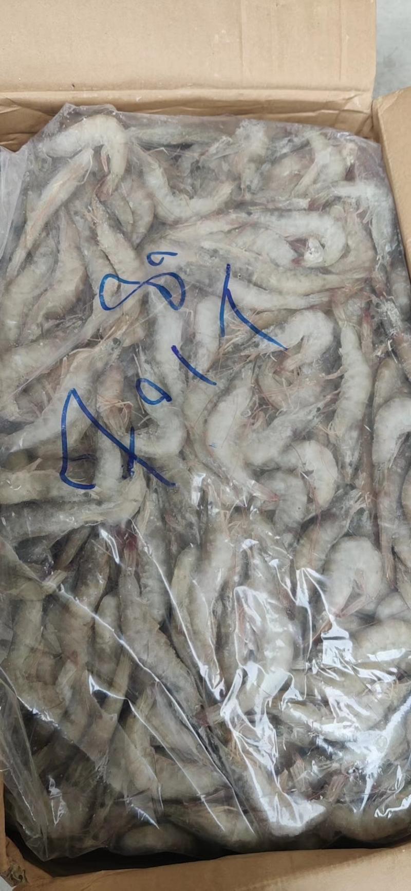 批发各种规格海虾18.7元