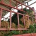 小葱香葱，加工厂，市场都可以用
