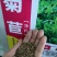 草种子果园鸭茅四季养殖兔兔龙猫小龟净籽牧草籽种子