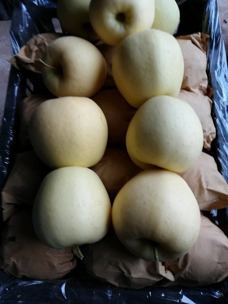 苹果