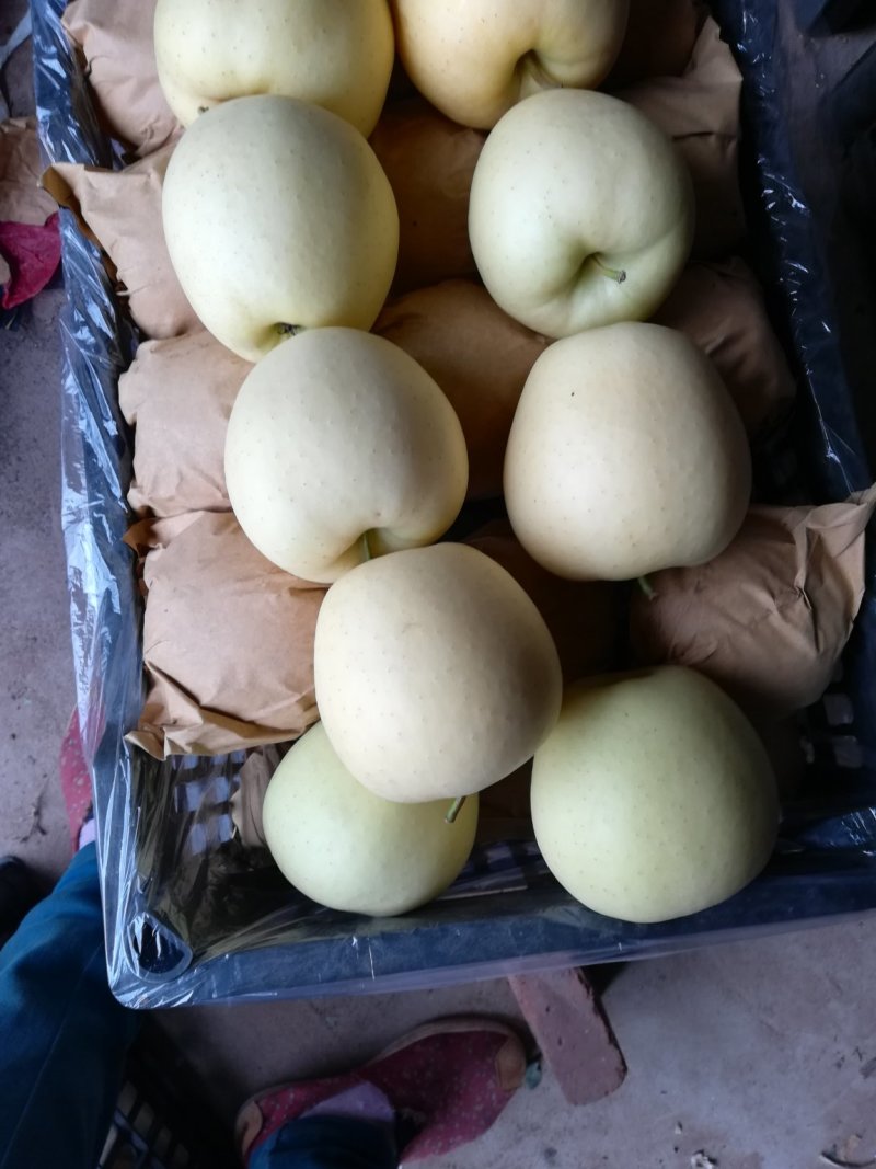 苹果