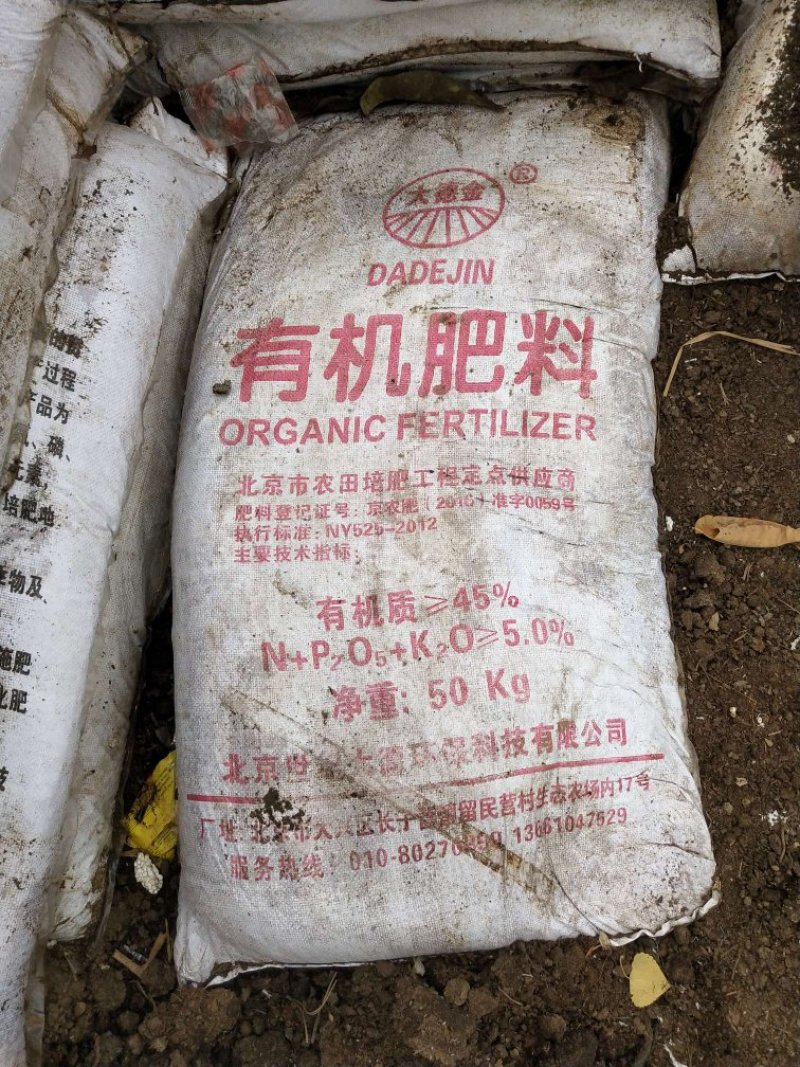 普罗旺斯，西红柿（自然熟）