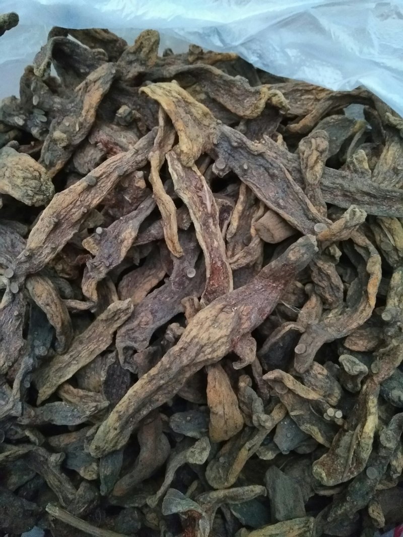 骨碎补，可支持批发，零售，视频看货，专业骨碎补20年