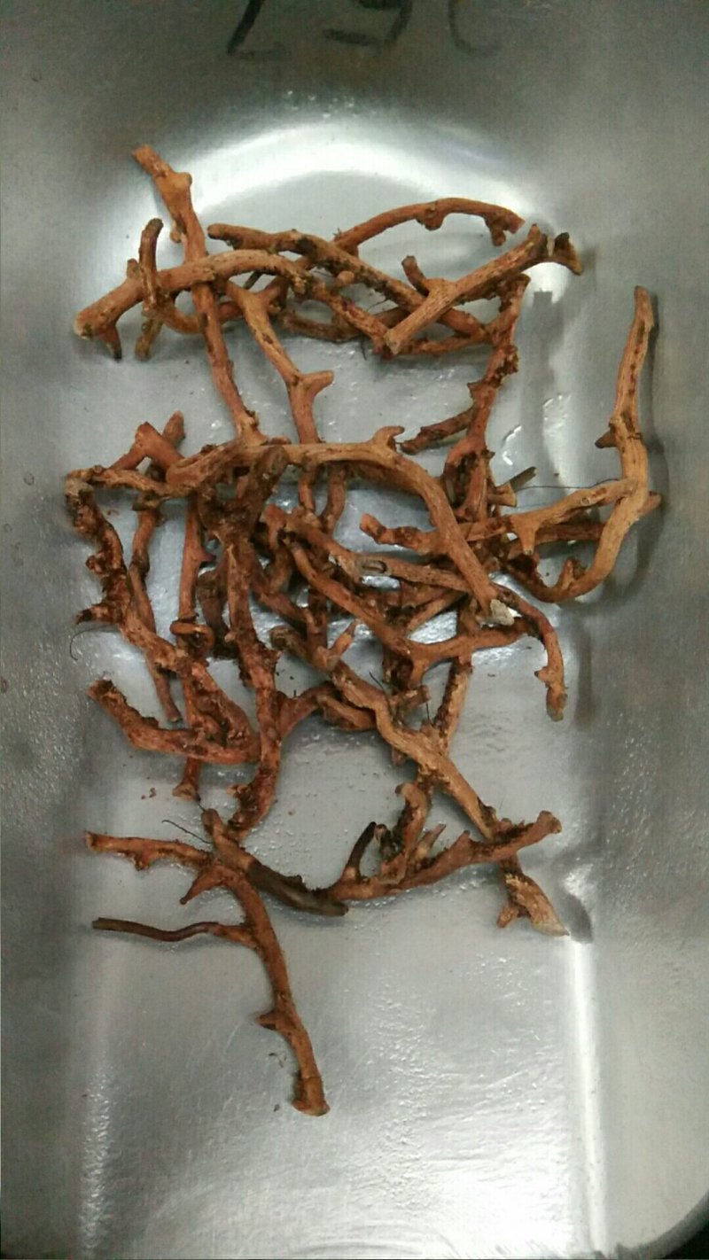骨碎补，可支持批发，零售，视频看货，专业骨碎补20年