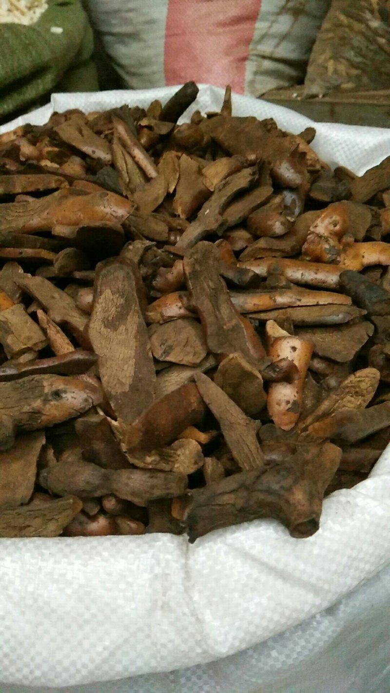 骨碎补，可支持批发，零售，视频看货，专业骨碎补20年