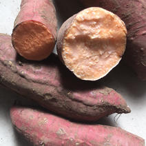 西瓜红蜜薯