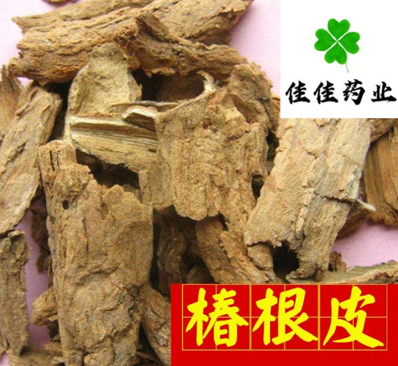 椿根皮椿皮统货货干供应各种中药材
