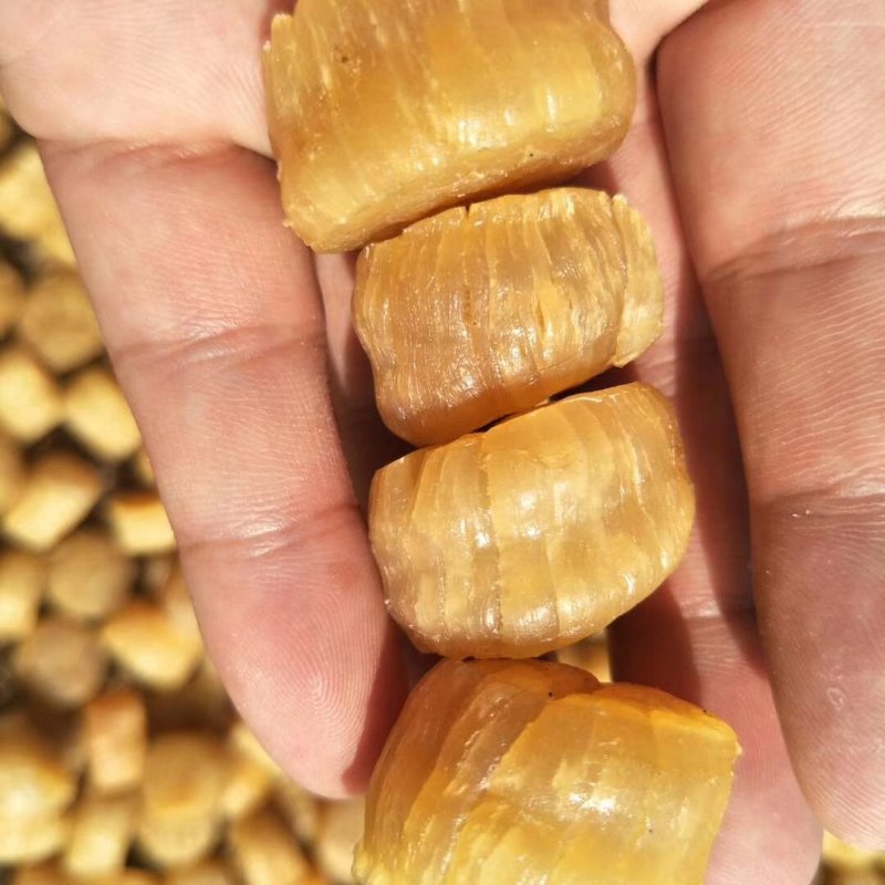 大连元贝，水产干货，干瑶柱，干贝，扇贝干，夏夷贝干，