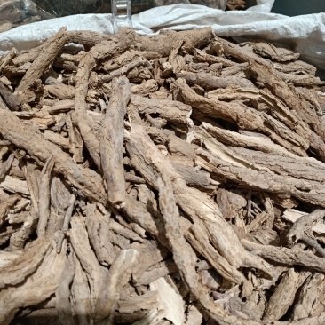 地骨皮！含量高！规格全！产地直销一手货源价格优！