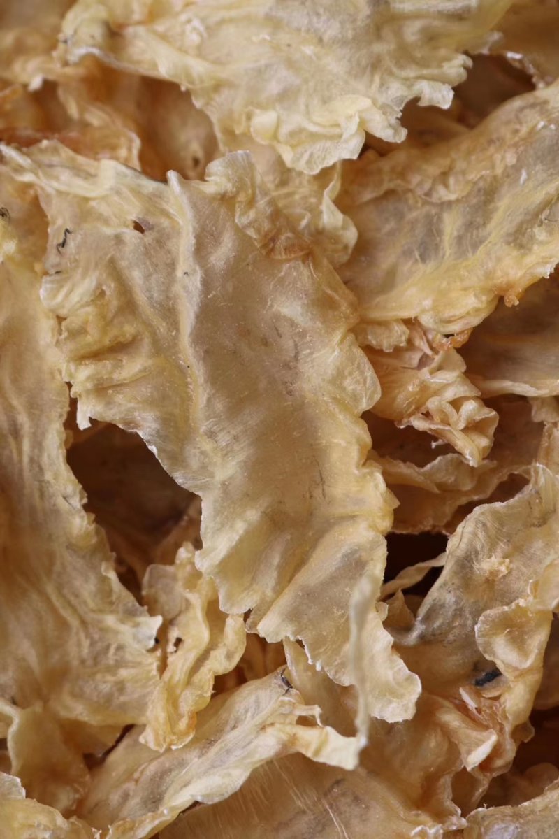 直销批发100头鳕鱼胶A级质量足干厚肉不腥口感好
