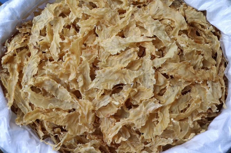 直销批发100头鳕鱼胶A级质量足干厚肉不腥口感好