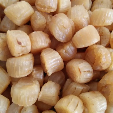 栉孔贝干品，干瑶柱，大连栉孔贝干，干贝