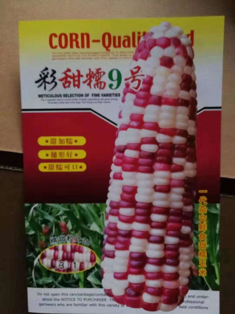 万糯二千种子，质量保证，绝无欺骗。大棒型口感好。