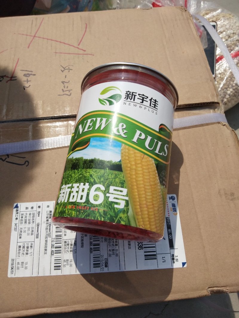 花甜糯玉米种子，质量保证绝无欺骗，市场畅销品种。