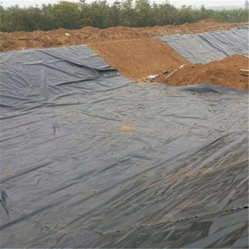 鱼塘防渗膜土工膜厂家直销护坡土工膜