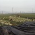 轻基容器大杯苗12X16实装杯，二年，三年，四年，油茶苗