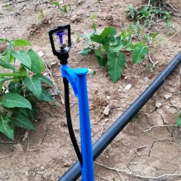 微灌设备大棚温室育苗果树喷灌地插喷头高度40-60公分