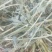 苜蓿紫花苜蓿草国产苜蓿草进口苜蓿草苜蓿草批发销售