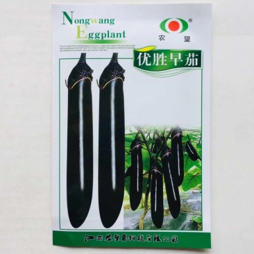 茄种子，早熟品种优胜圆茄，高产杭州红茄种子