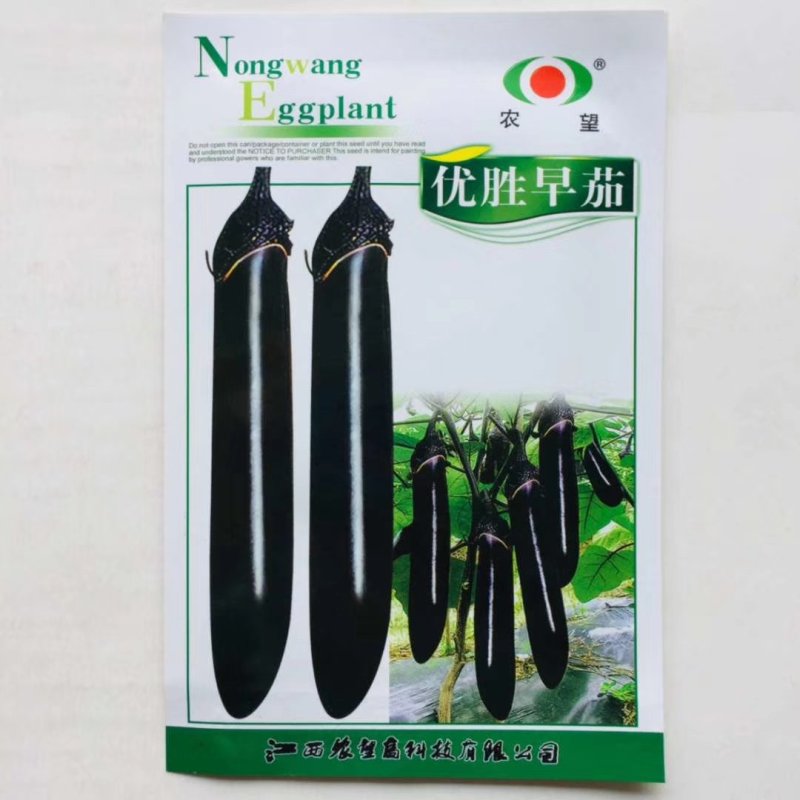 茄种子，早熟品种优胜圆茄，高产杭州红茄种子