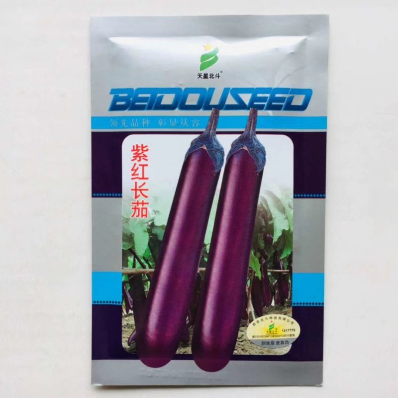 茄种子，早熟品种优胜圆茄，高产杭州红茄种子