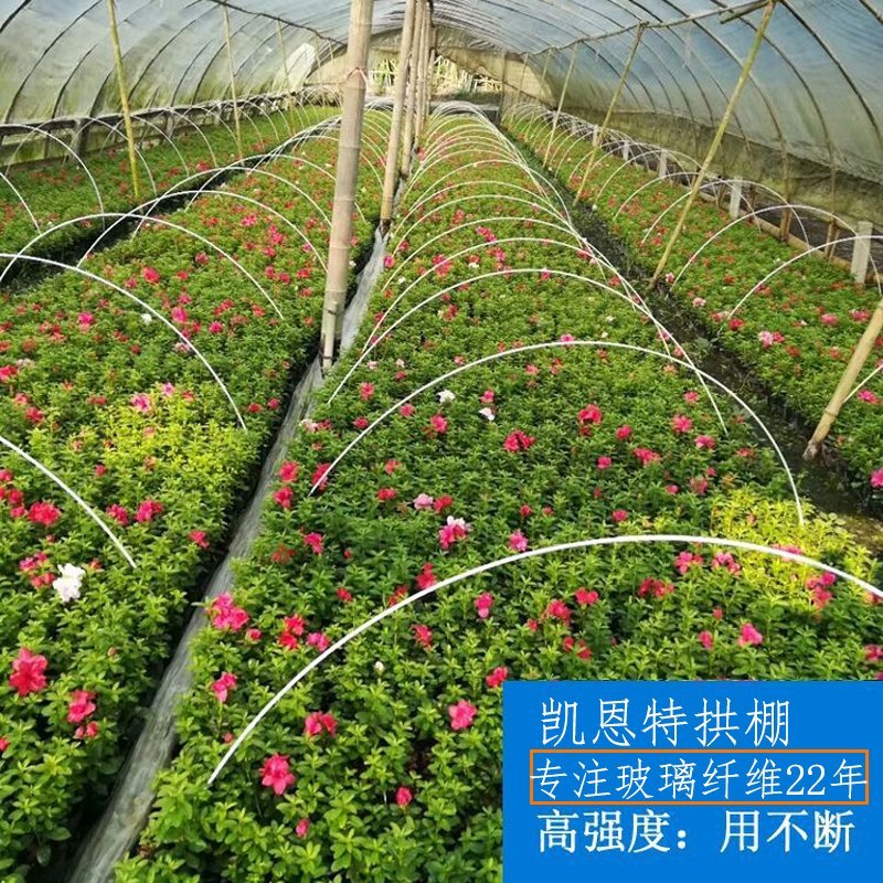 玻璃纤维管定植杆果苗幼苗茄子辣椒玻璃钢攀爬杆玻璃纤维棒
