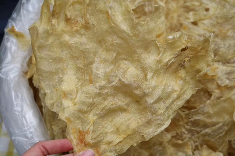 直销批发特级缅甸鲶鱼胶足干新鲜厚肉性价比超高