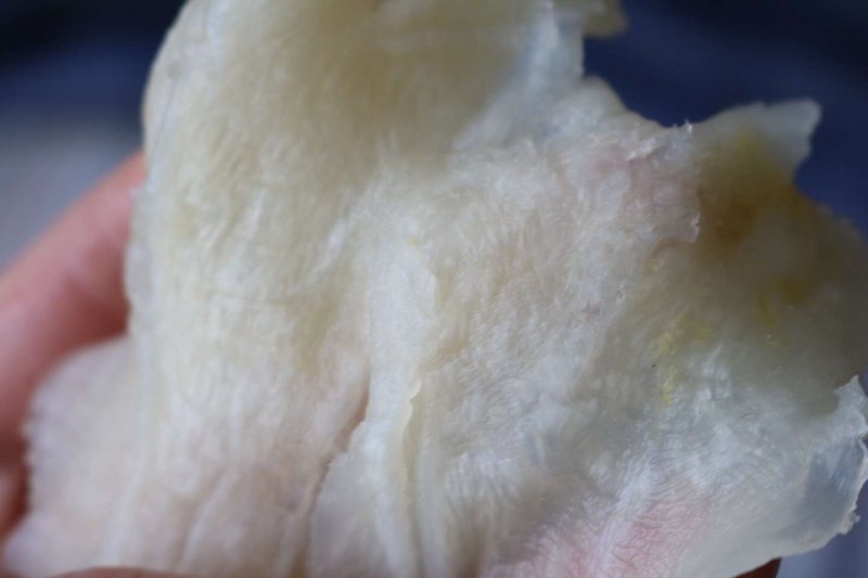 直销批发特级缅甸鲶鱼胶足干新鲜厚肉性价比超高