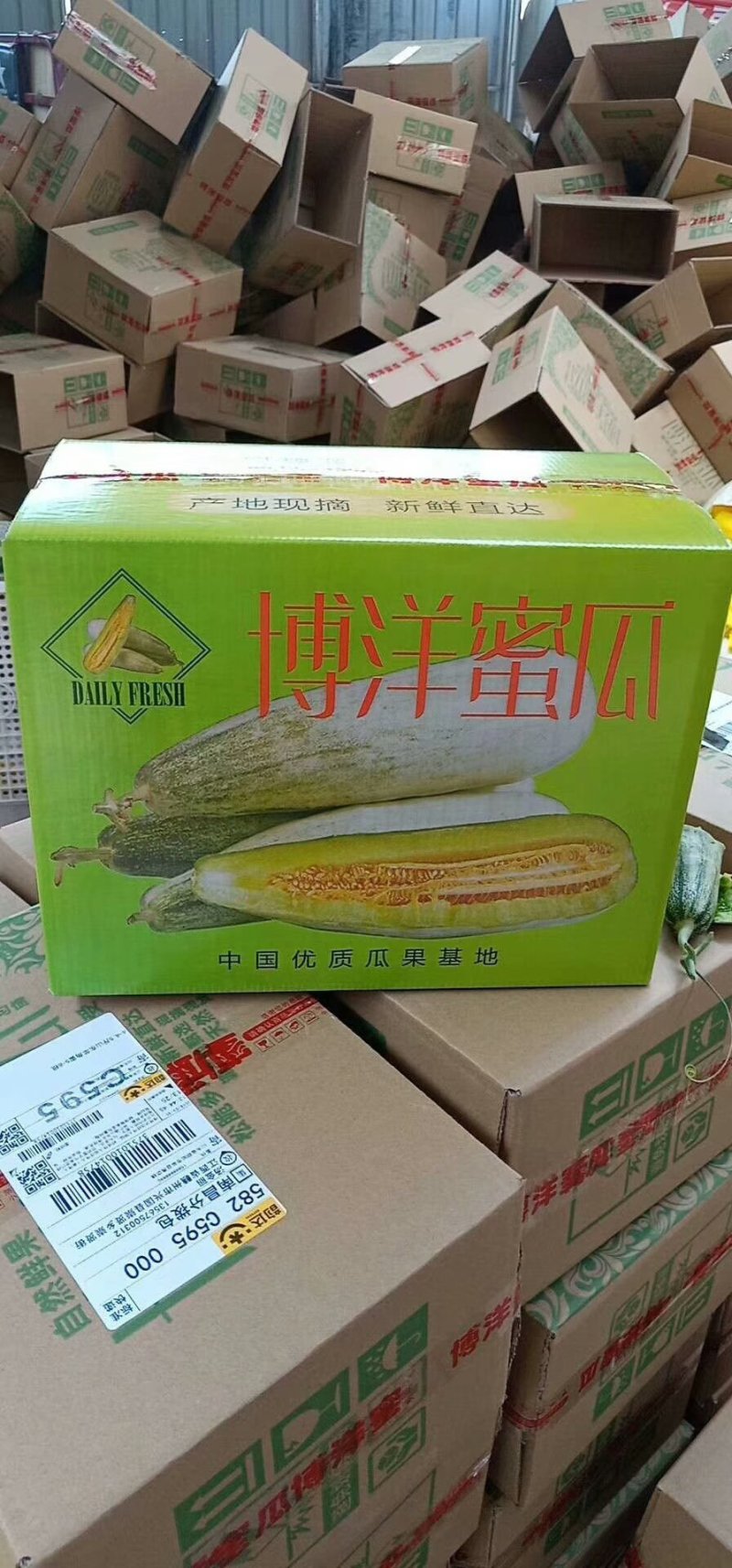 博洋甜瓜一件代发实力代办社区团购产地直发对接电商