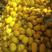 晓蜜25哈密瓜，西周蜜，个大，质量好品种多，货源充足
