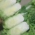 精品大白菜，小包头新菜大量上市品质优良，价格优惠