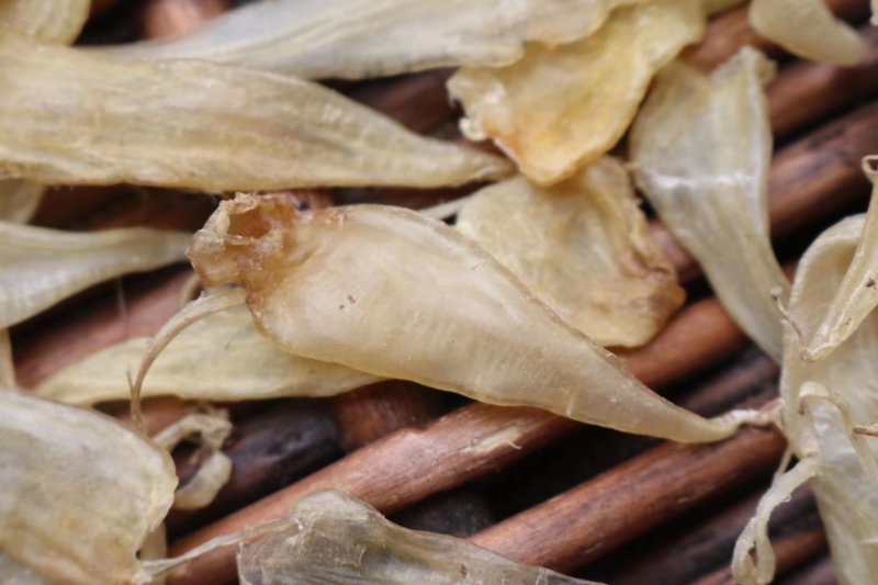 直销批发特级650头缅甸豆仁胶小黄花胶一斤装