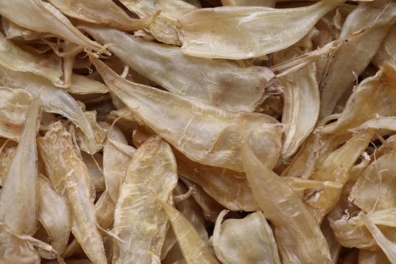 直销批发特级650头缅甸豆仁胶小黄花胶一斤装