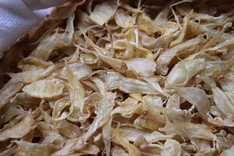 直销批发特级650头缅甸豆仁胶小黄花胶一斤装