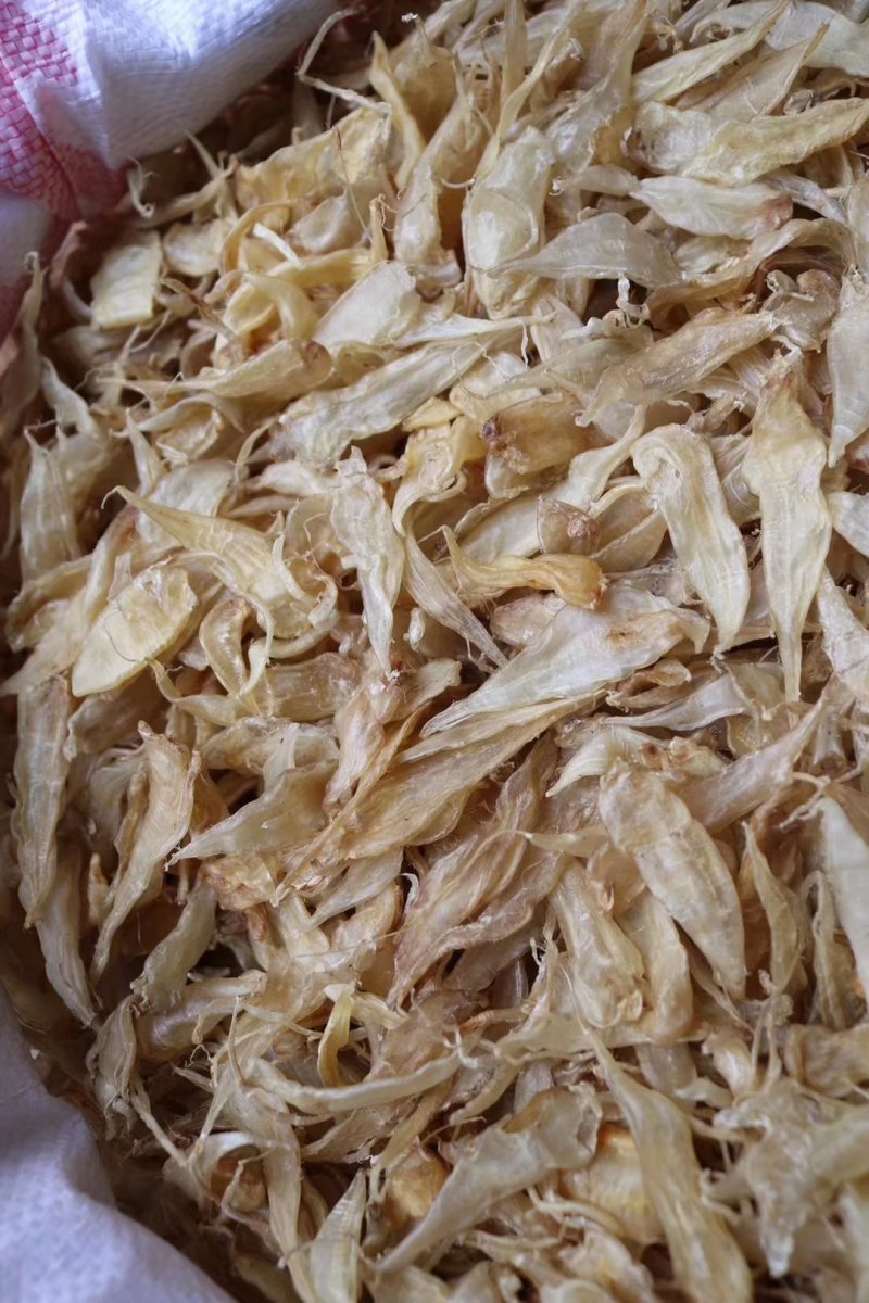 直销批发特级650头缅甸豆仁胶小黄花胶一斤装