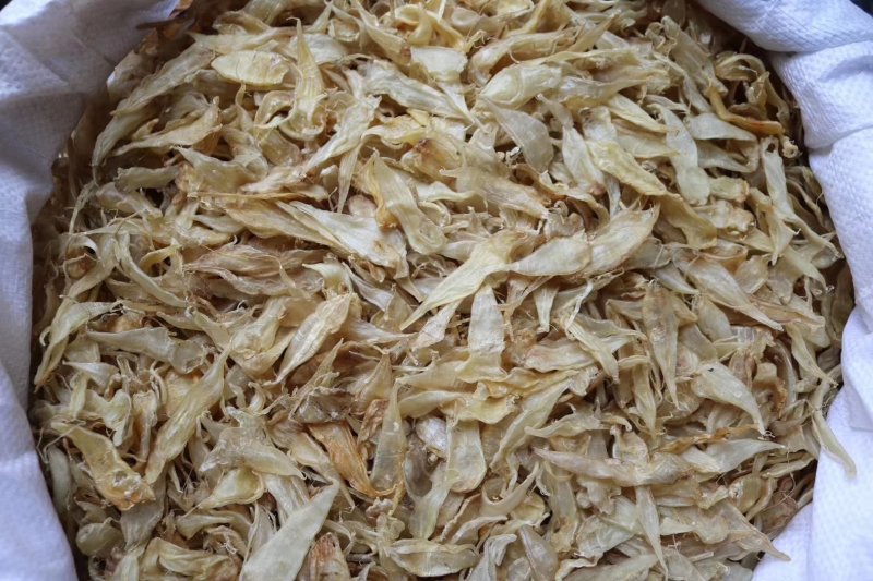 直销批发特级650头缅甸豆仁胶小黄花胶一斤装