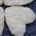直销批发超特级心形囊丝燕窝碎50g7块装批发零售一件代发