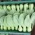 青梗菜