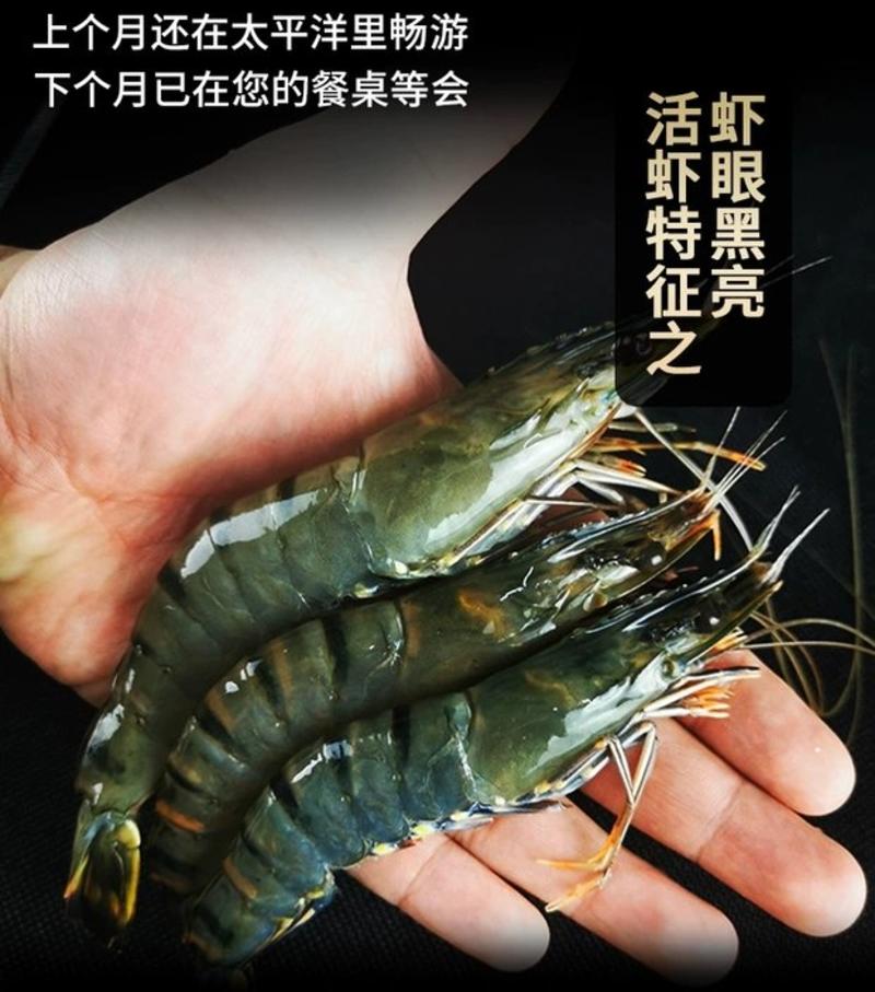 【包邮】生冻黑虎虾350g—650g