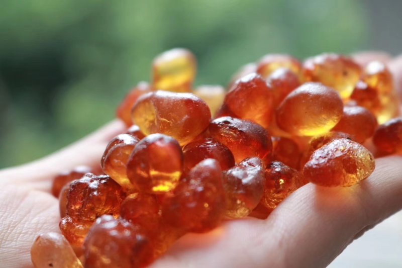 直销批发特级中大号颗粒珍珠红桃胶高质量漂亮货