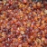 直销批发特级中大号颗粒珍珠红桃胶高质量漂亮货