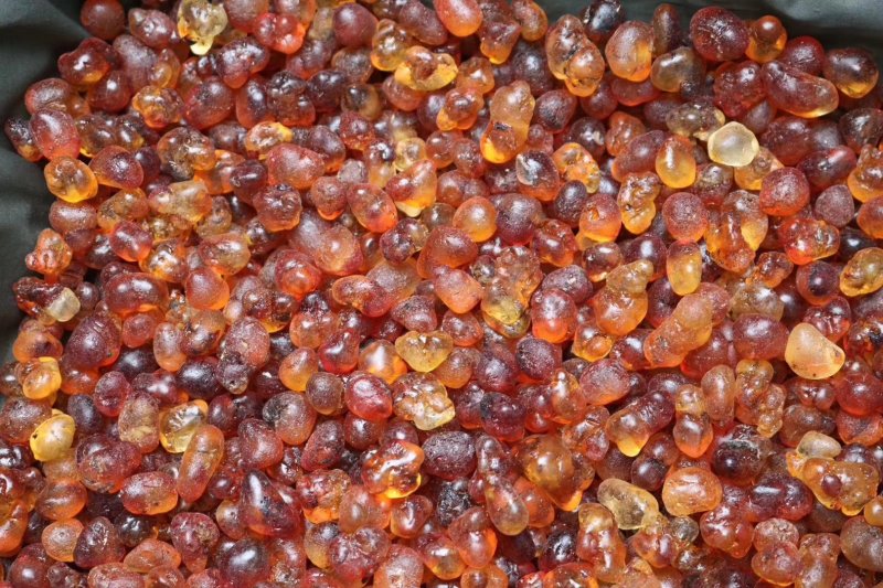 直销批发特级中大号颗粒珍珠红桃胶高质量漂亮货